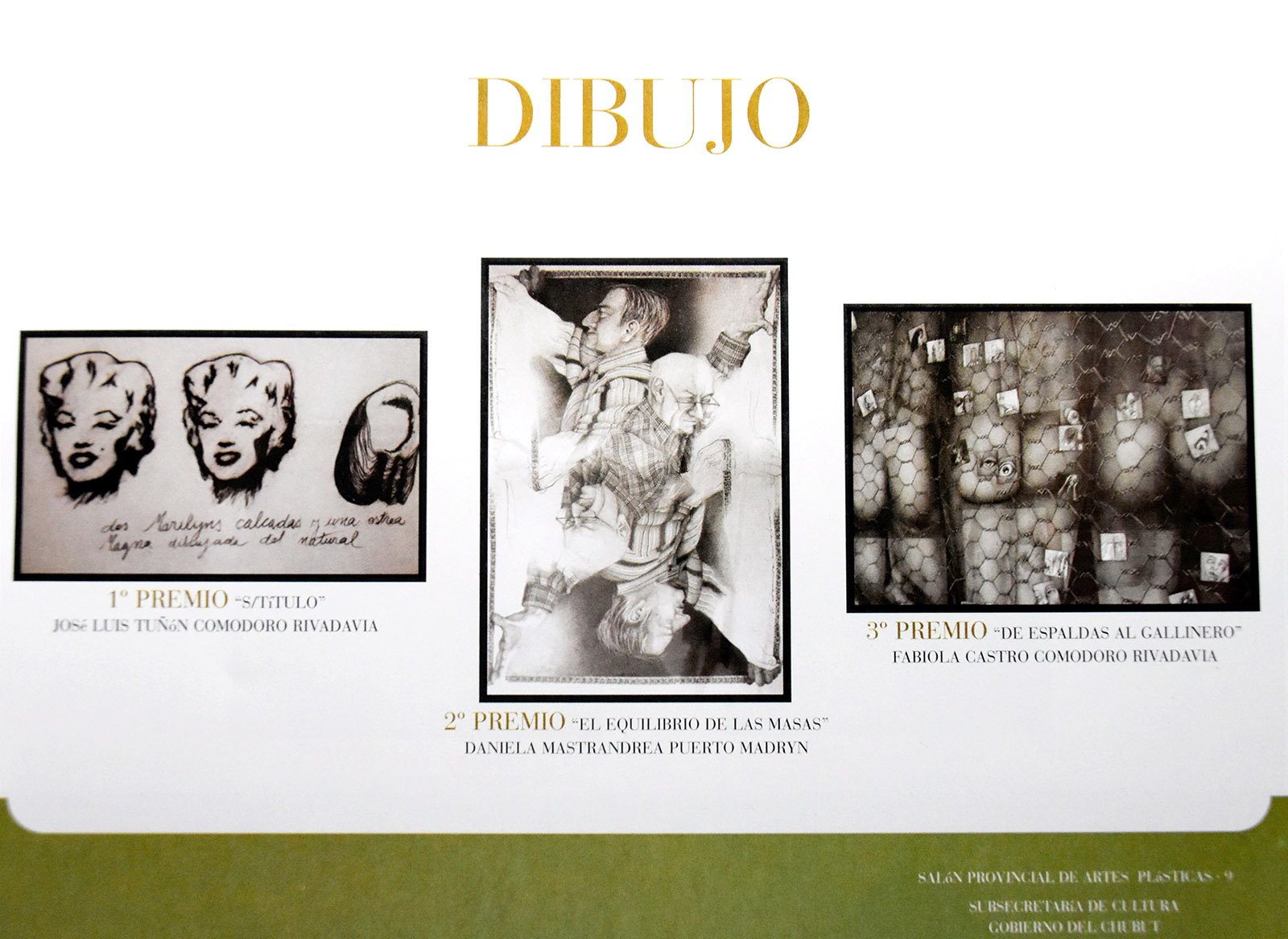 2003 SALÓN PROVINCIAL DIBUJO 1ER PREMIO